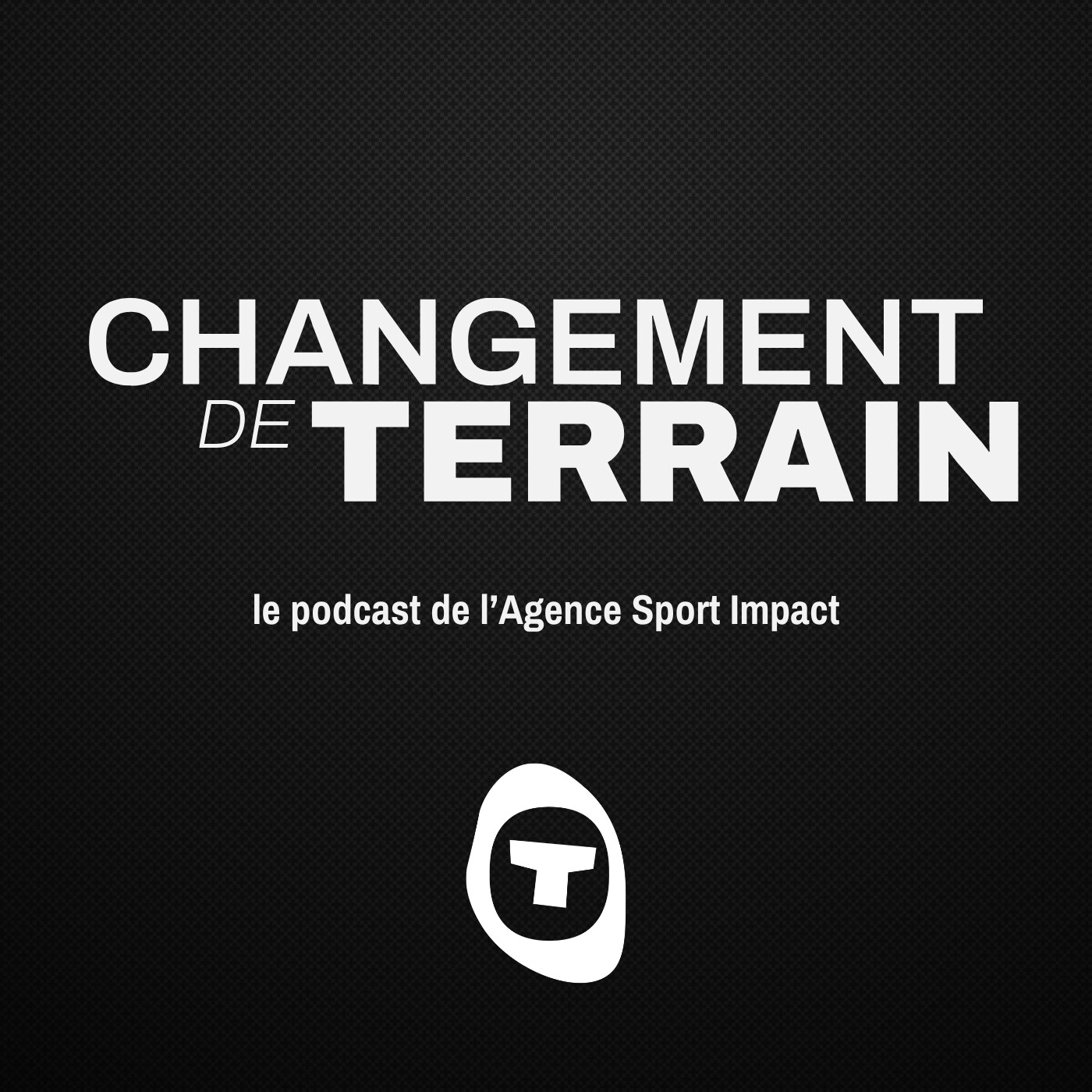 Changement de terrain cover art