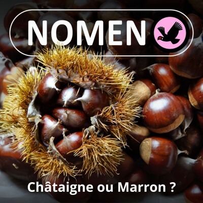 S01E61 Bim bam, Châtaigne ou Marron ? cover