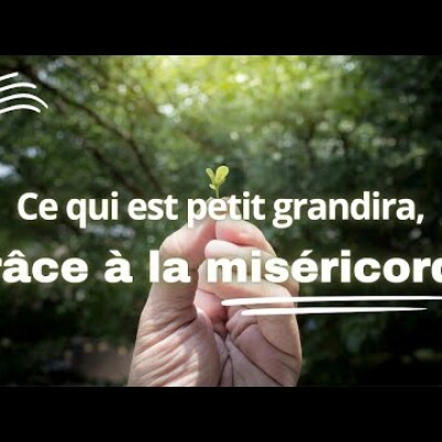 Parole et Évangile du jour | Vendredi 26 janvier • S  Timothée et S  Tite cover