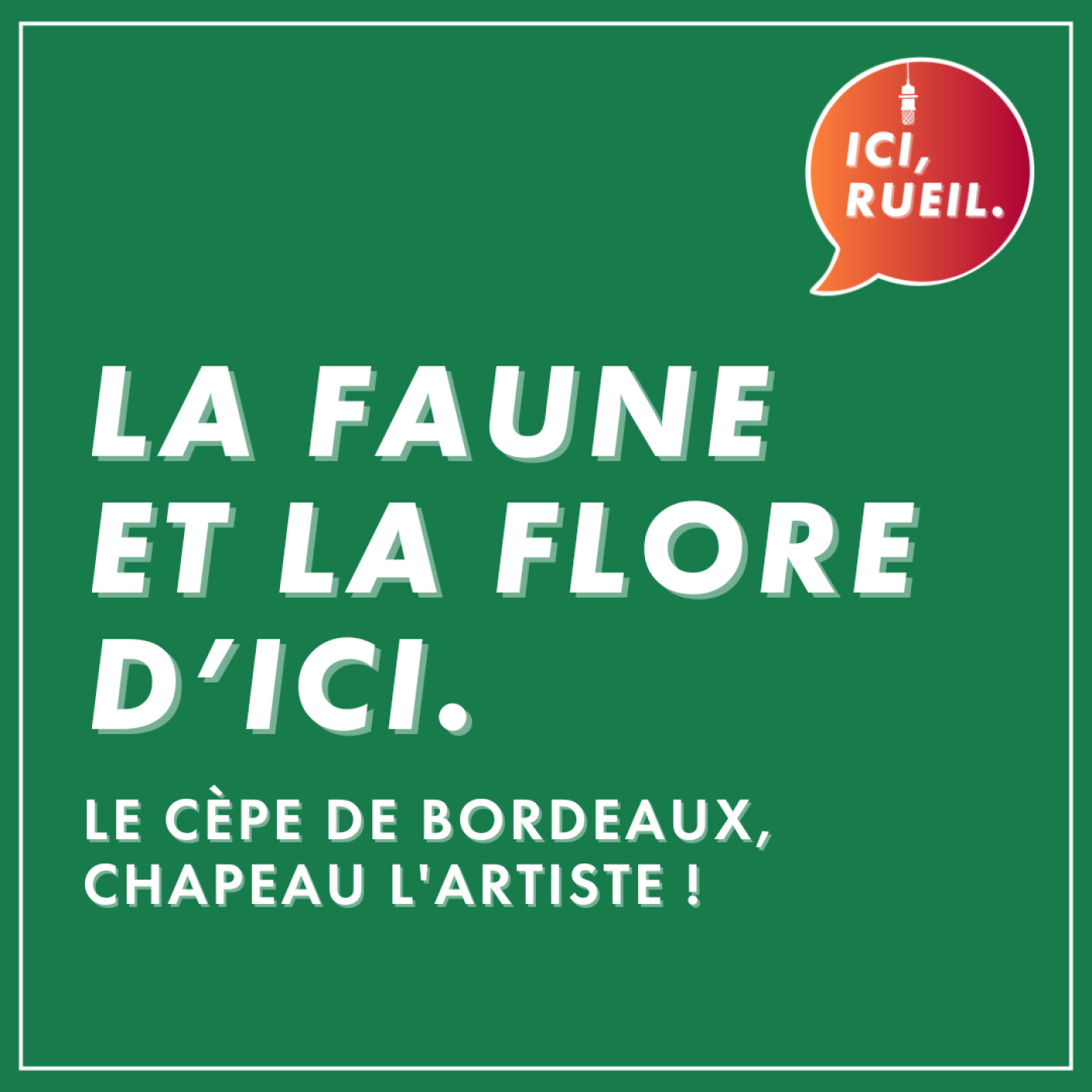 La Faune et la Flore d'Ici : Le cèpe de bordeaux, chapeau l'artiste ! episode artwork