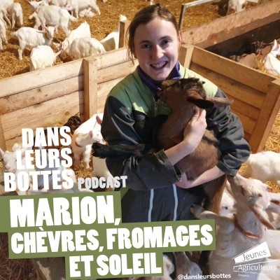 Marion, chèvres, fromages et soleil cover