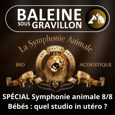 BEST OF D'ÉTÉ #44 Symphonie animale 8/8 : L'importance méconnue des sons pour un bébé humain (Nicolas Mathevon, bioacousticien) cover