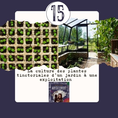 Booster sa pratique de la couleur végétale - 7 Se faire connaitre et soutenir la couleur végétale cover