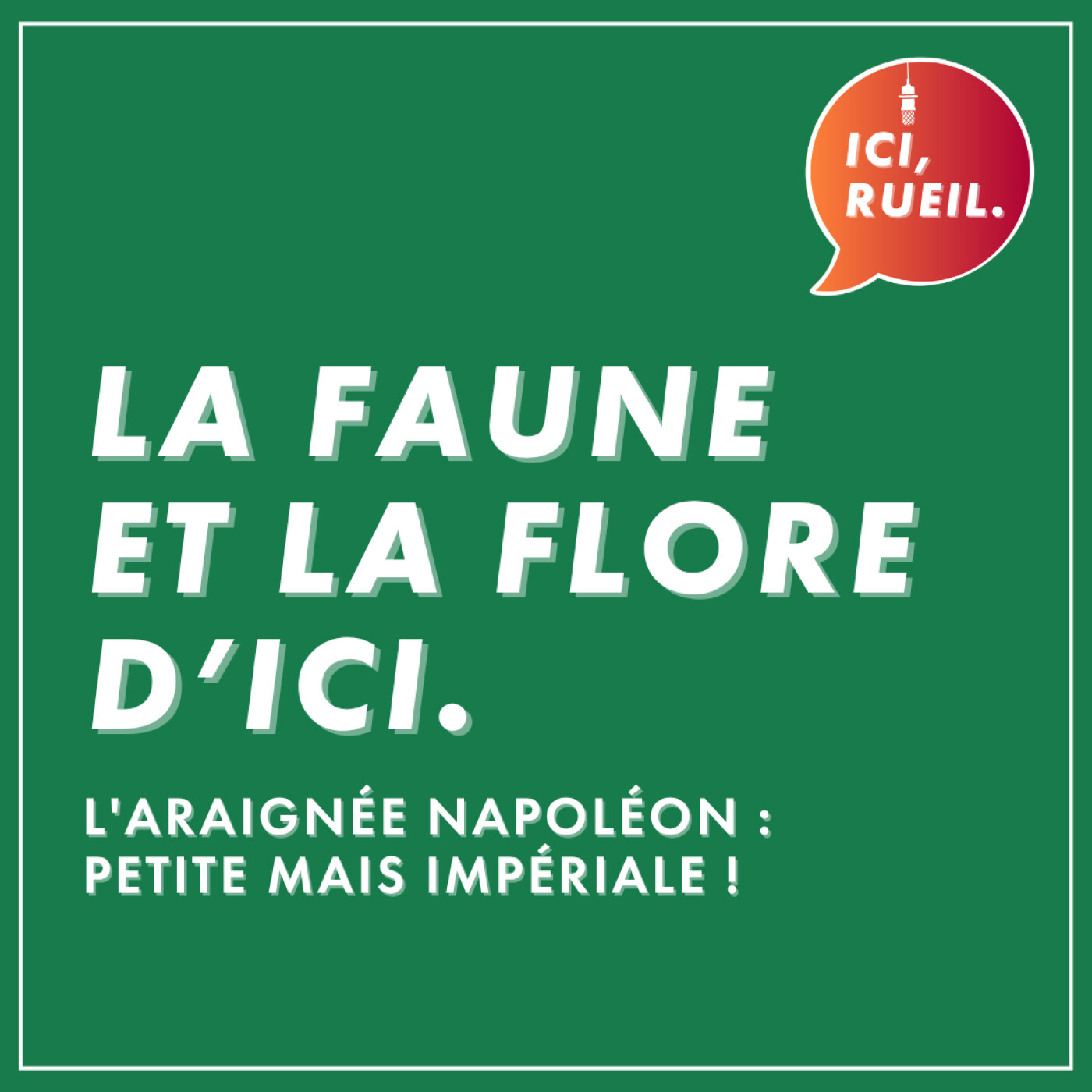 La Faune et la Flore d'Ici : L'araignée Napoléon, petite mais impériale ! episode artwork