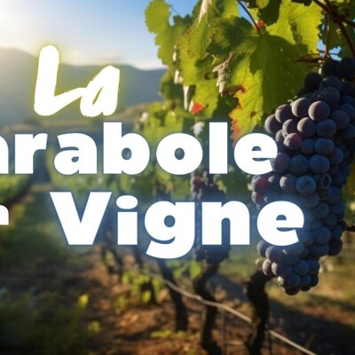 Parole et Évangile du jour | Vendredi 1er mars • Pourquoi la vigne est importante dans la Bible ? cover