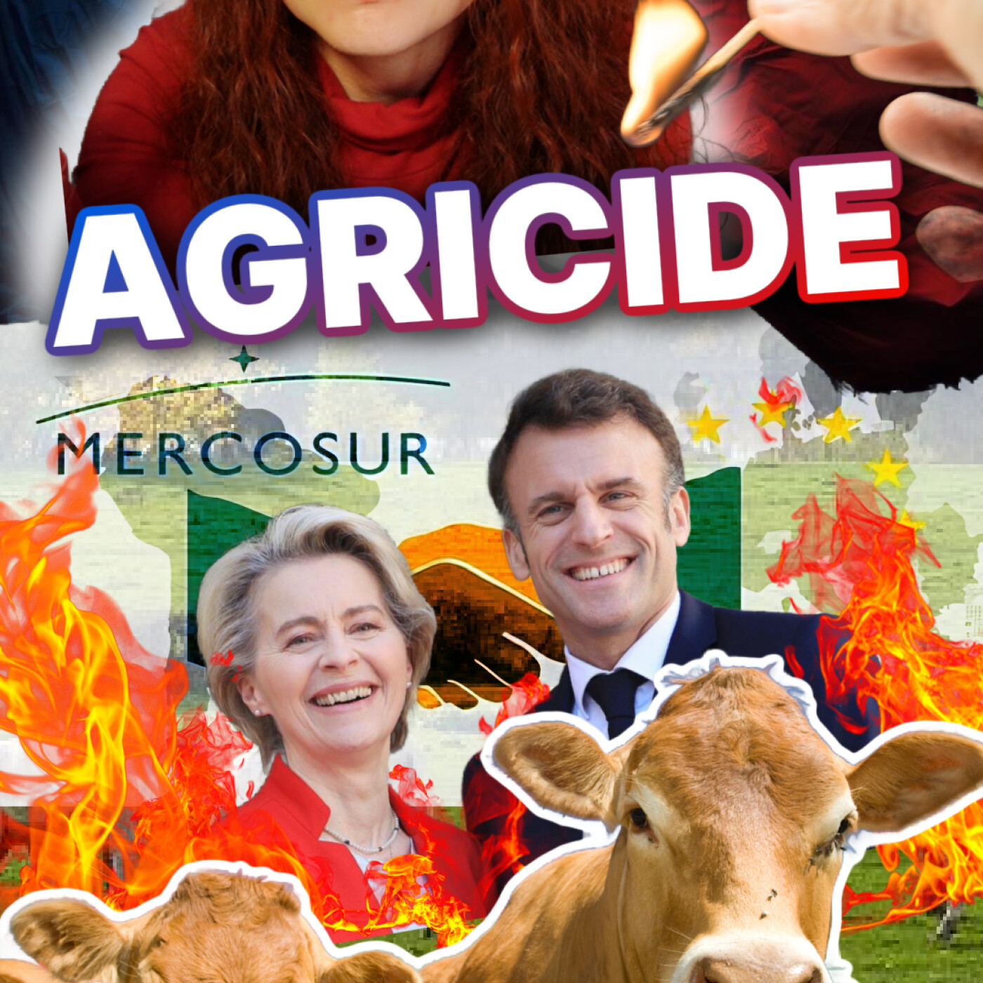 SCANDALE - MASSACRE DES VACHES FRANÇAISES - Notre pays sacrifié sur l'autel du Mercosur