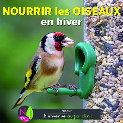 PAROLES D'EXPERTS: HÉBERGER ET NOURRIR LES ANIMAUX DU JARDIN EN HIVER ? cover
