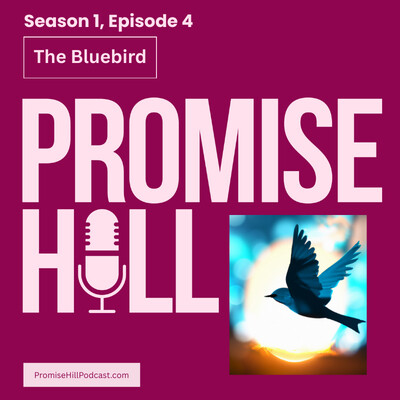 Promise Hill, S1 Ep 4, The Bluebird cover