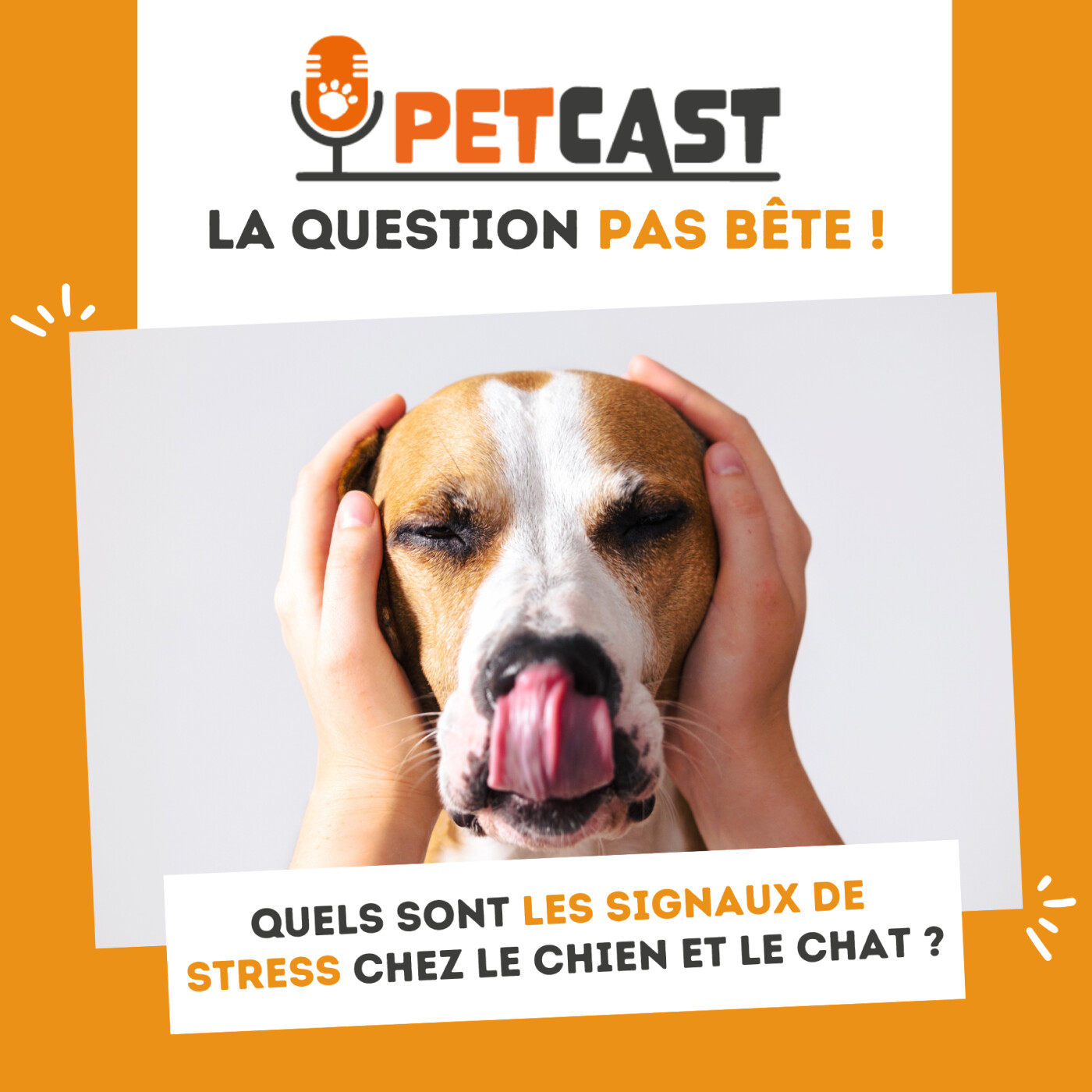 Quels sont les signaux de stress chez le chien et le chat ?