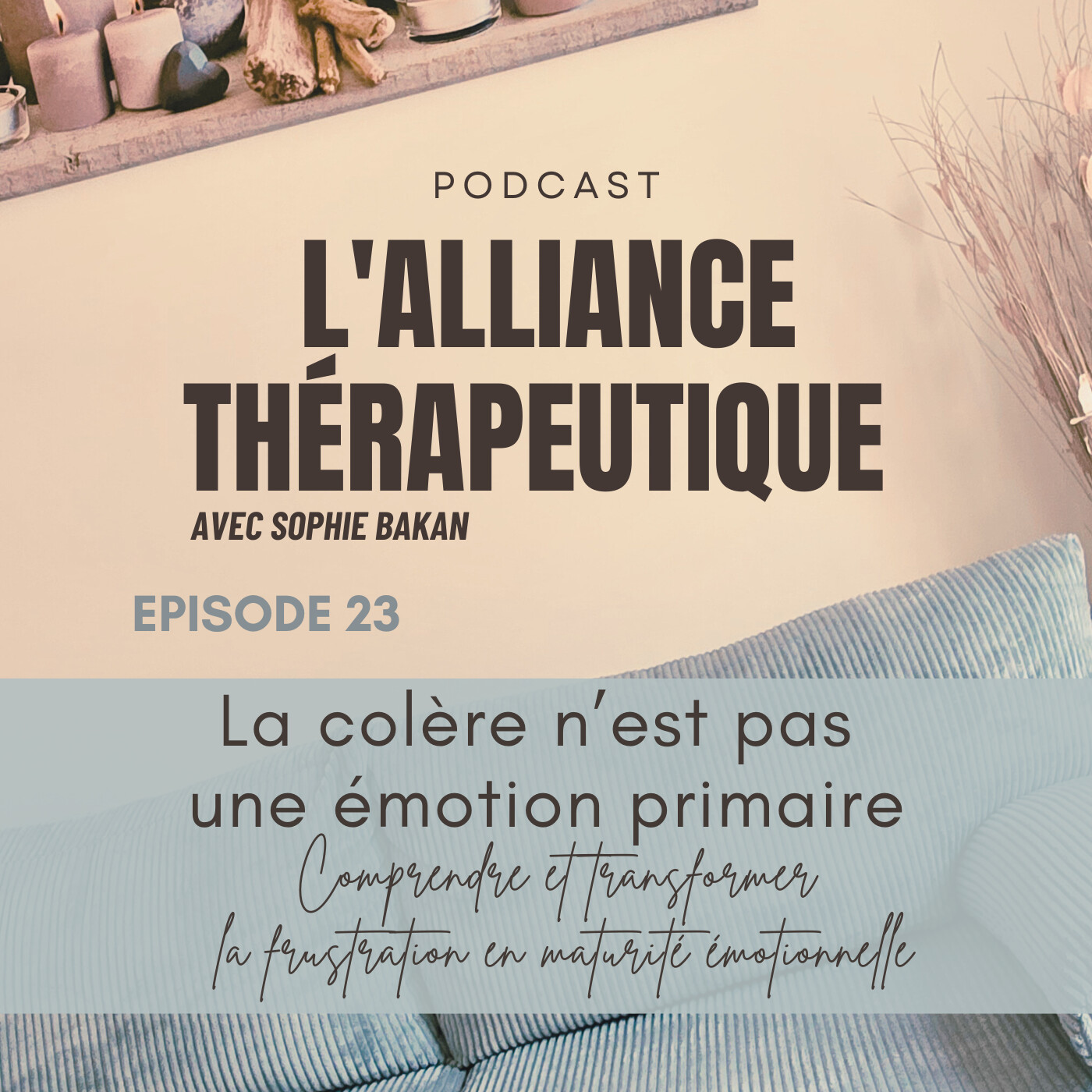 La colère n’est pas  une émotion primaire : comprendre et transformer la frustration E23 episode artwork