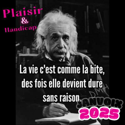 La vie, la bite et Einstein : un mème pour rire (et réfléchir) cover