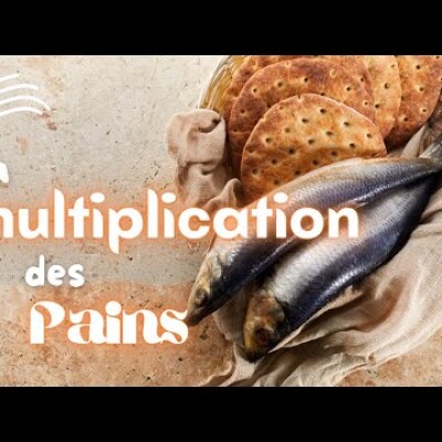 Parole et Évangile du jour | Lundi 7 août • La multiplication des pains : possible ? cover