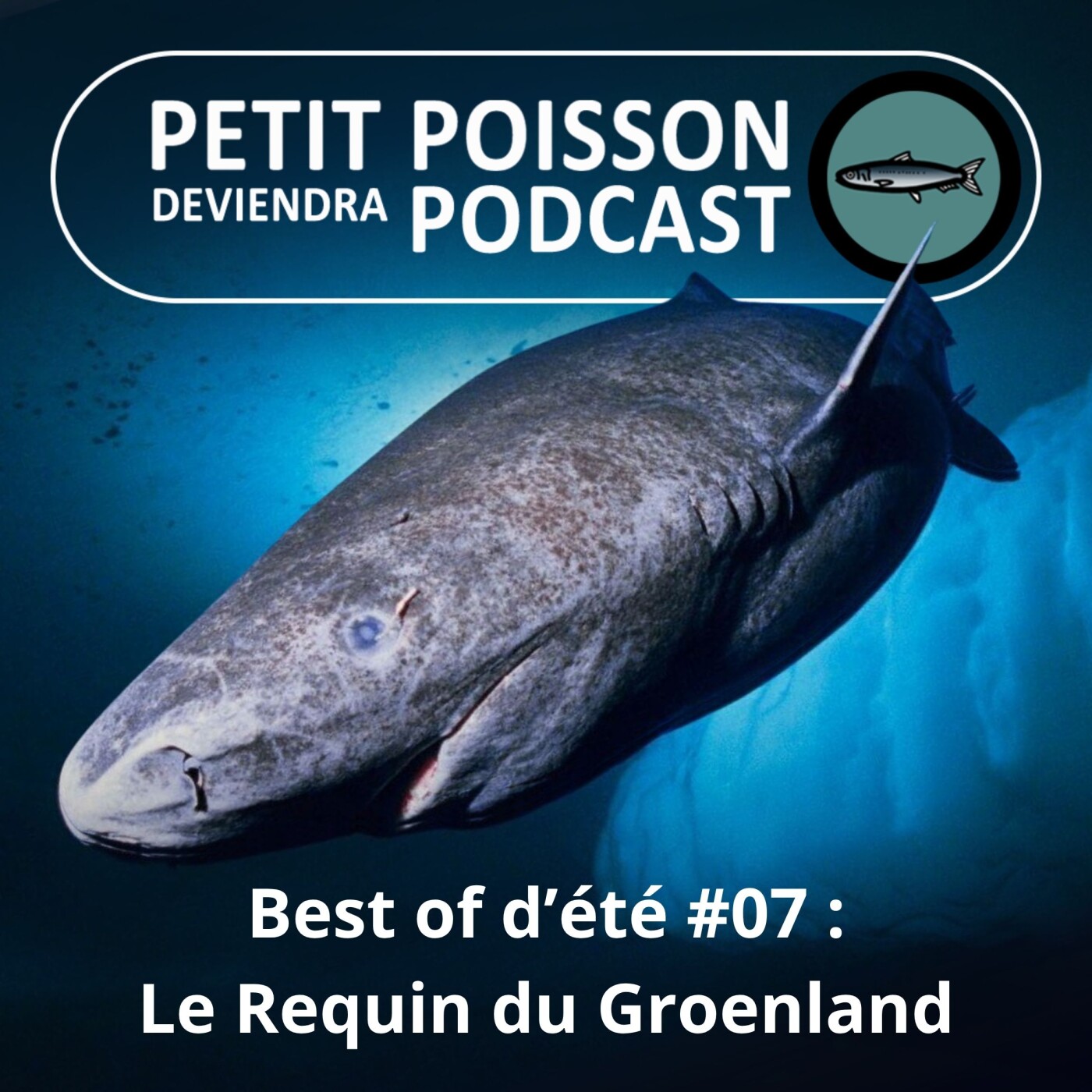 Petit Poisson deviendra Podcast