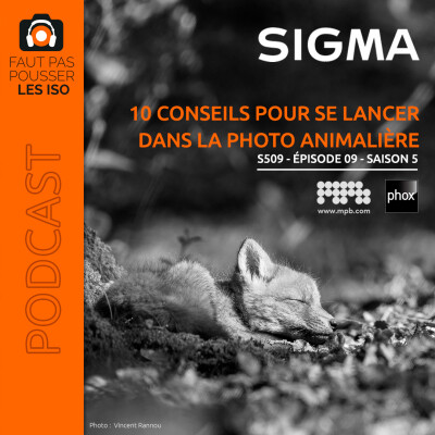 S509 - 10 conseils pour se lancer dans la photo animalière cover