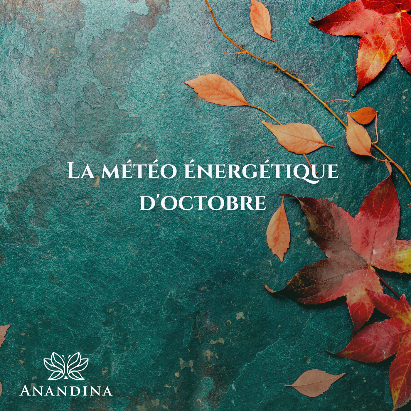 Anandina, Accompagnatrice de potentialités