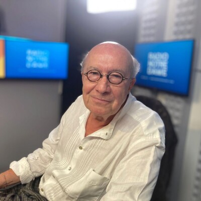 Olivier Bétourné, un regard historique sur les questions de légitimité et de censure de l'éxécutif cover