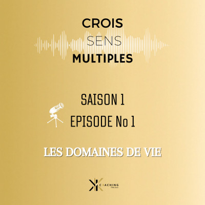 #S1  #EP01 - les domaines de vie cover