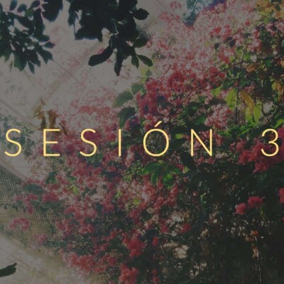 Dispensación cover