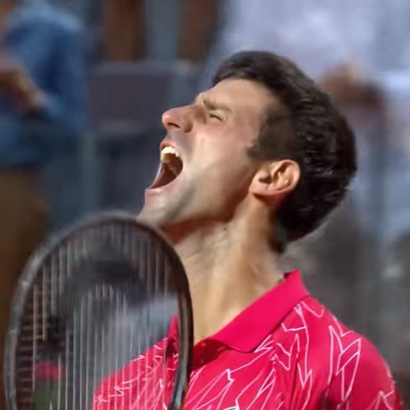 18. Djokovic clap 36e, triste finale pour Pliskova face à Halep
