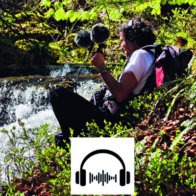 Les étangs de Fontargente cover