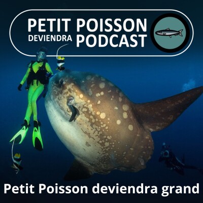 S03E34 Petit baigneur deviendra... immense (Bill François) cover