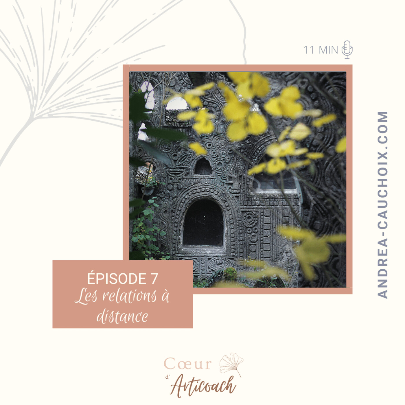 Cœur d\'articoach