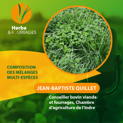 HERBE ET FOURRAGES - Composition des mélanges multi-espèces cover