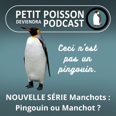 S05E10 NOUVELLE SÉRIE Manchots : Pingouin ou Manchot, quelle différence ? (Mathilde Chevallay) cover