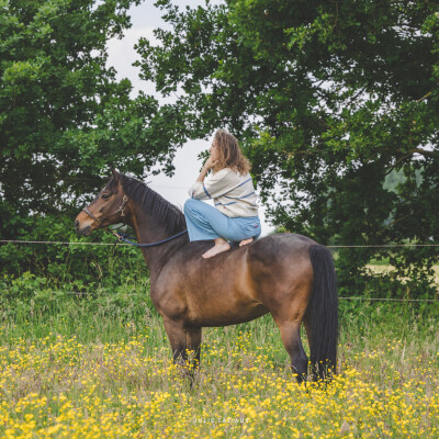🧘♀️ L’importance des limites claires cover