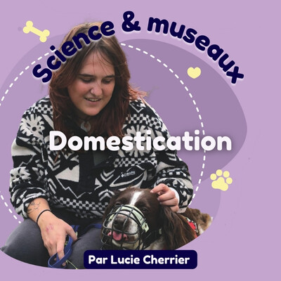 Épisode 3 : La domestication du chien cover