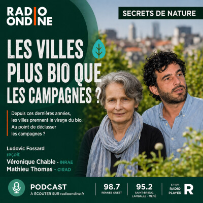 Les villes sont-elles plus bio que les campagnes ? cover