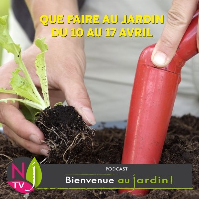 QUE FAIRE AU JARDIN DU 10 AU 17AVRIL ? cover