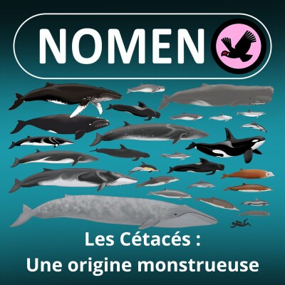 S05E01 Les Cétacés : Une origine monstrueuse cover