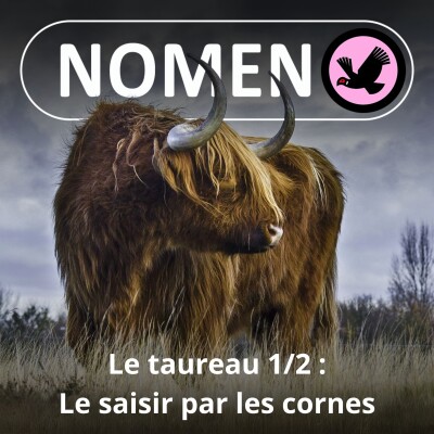 S03E21 Prendre le Taureau par les cornes cover