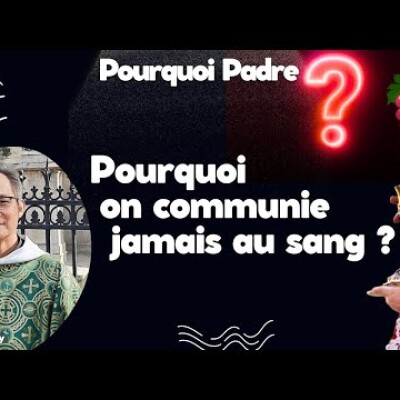 Pourquoi on ne communie pratiquement jamais au sang du christ ? cover