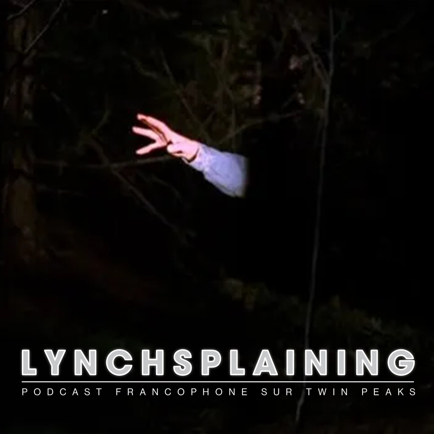 Twin Peaks : The Path to the Black Lodge & Miss Twin Peaks (S02E20 & S02E21)