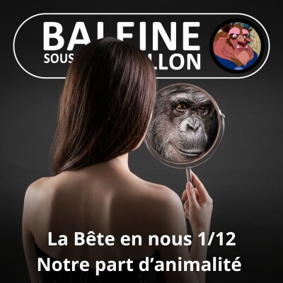Show cover