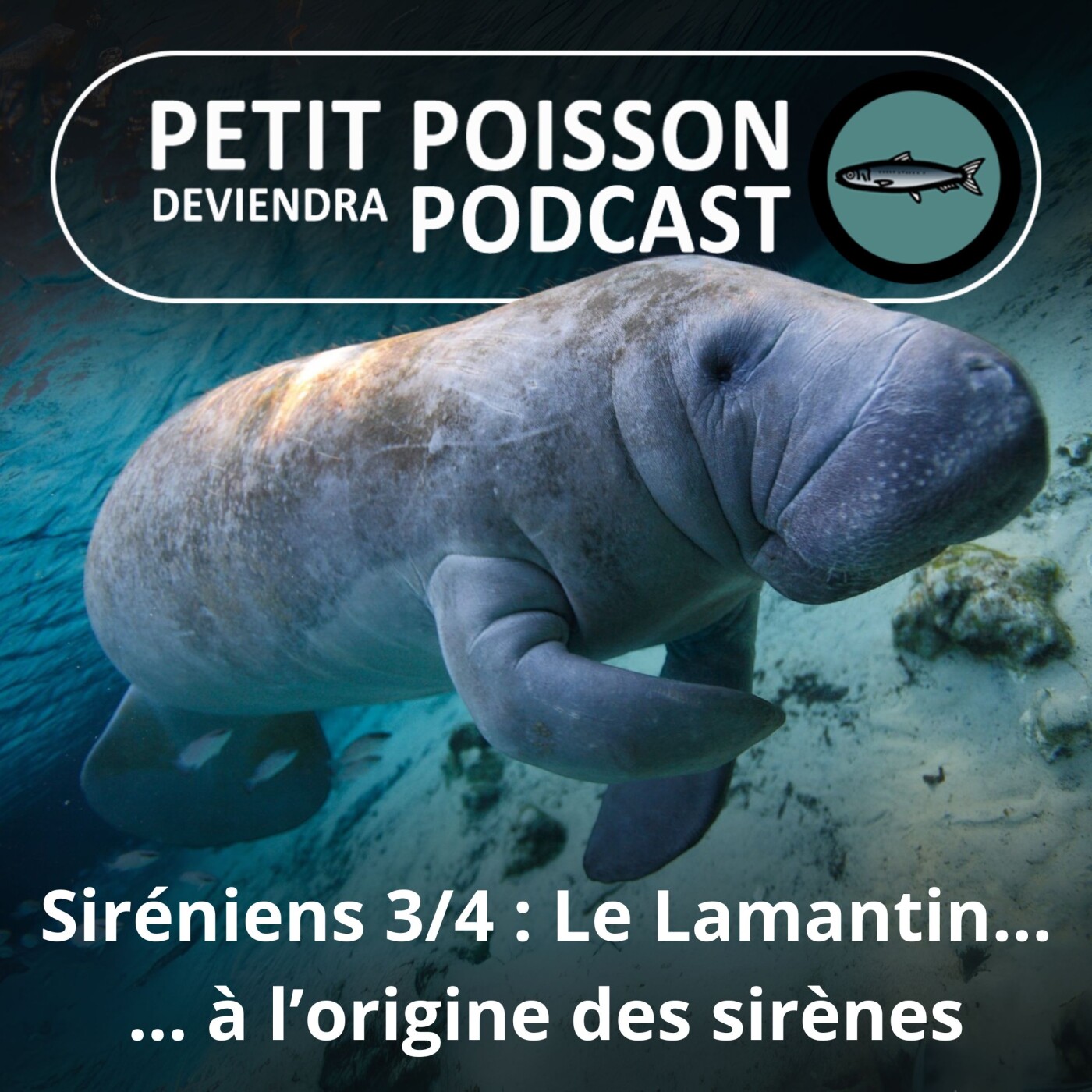 Petit Poisson deviendra Podcast