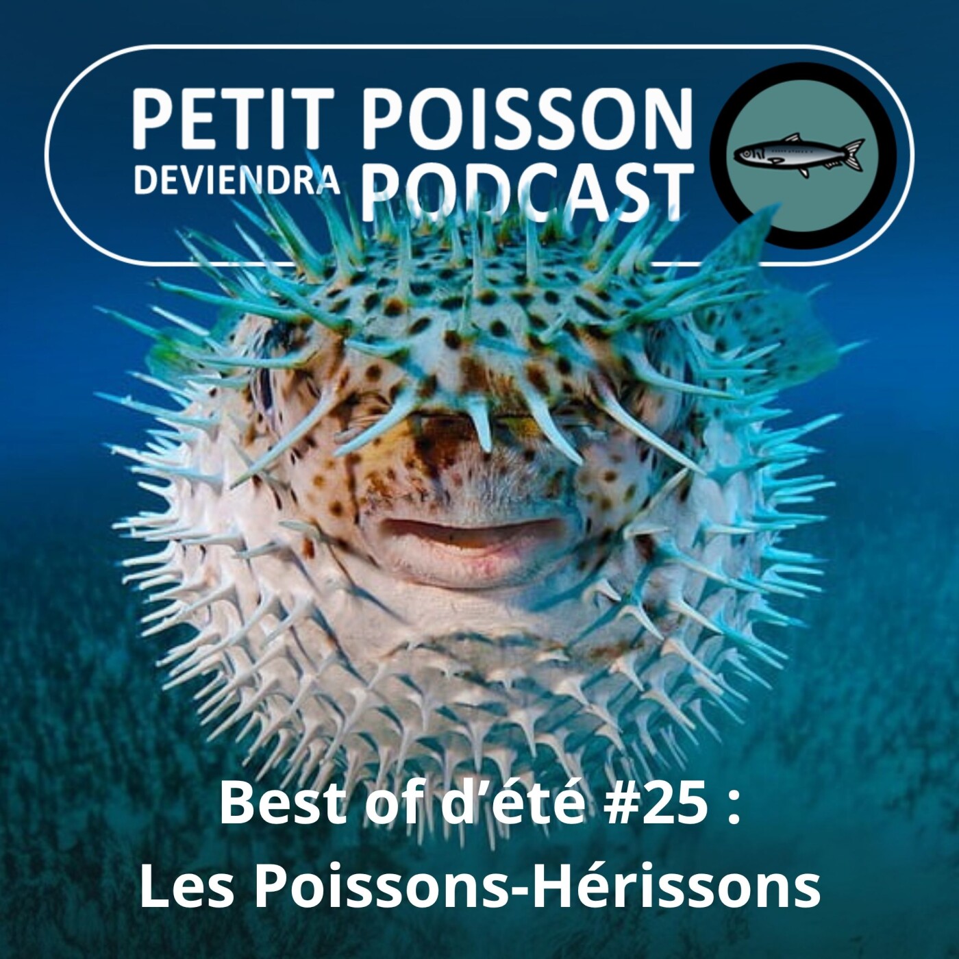 Petit Poisson deviendra Podcast