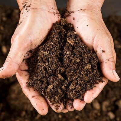 Jardinage : comment se passer des engrais chimiques ? cover