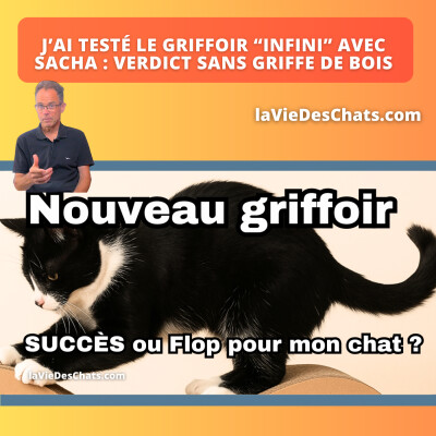 J'AI TESTÉ LE NOUVEAU GRIFFOIR D'HOMYCAT AVEC SACHA. VERDICT ! cover