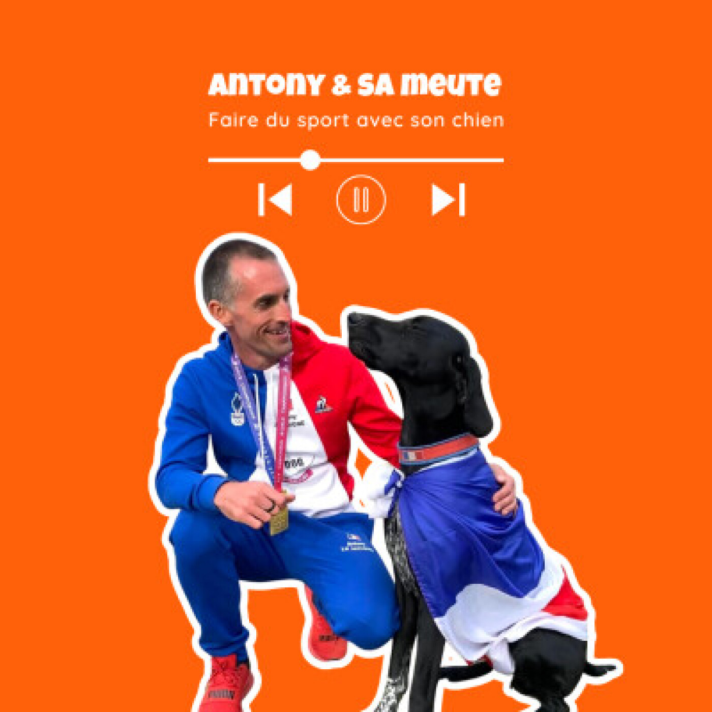 TWiP - Voyager avec son chien