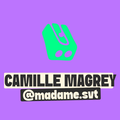 EVARS à l’école : pourquoi l’éducation à la vie affective et sexuelle fait peur ? cover