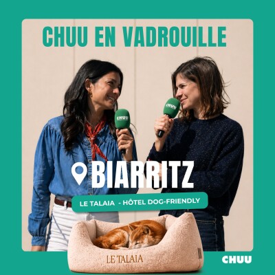 CHUU en vadrouille #1 : Le Talaia, un hôtel dog-friendly à Biarritz cover