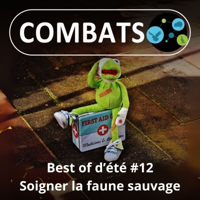 BEST OF D'ÉTÉ #12 : Soigner la faune sauvage 12/13 cover