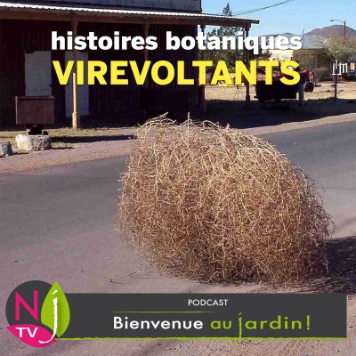 HISTOIRES BOTANIQUES: LES VIREVOLTANTS ET PLANTES DE LA RÉSURRECTION cover