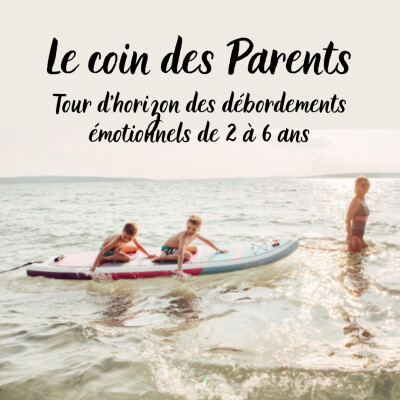 Tour d'horizon des débordements émotionnels de 2 à 6 ans cover