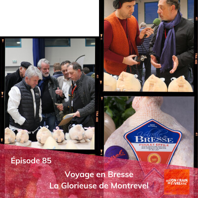 Épisode 85 : Voyage en Bresse : La Glorieuse de Montrevel cover