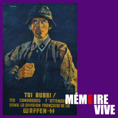 Des Français sous uniformes allemands ? La collaboration militaire pendant la Seconde Guerre Mondiale cover