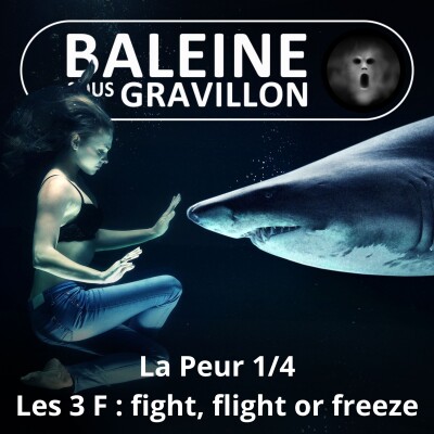 S06E01 La Peur 1/4 : Les 3 F, fight flight or freeze (Marc Mortelmans) cover